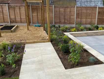 low-maintenance plants