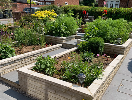 winter-scent-planting